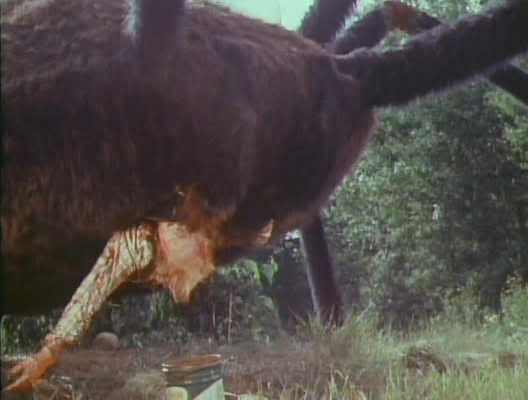 giant-spider-attack