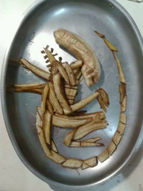 tumblr_oyhlinM1hK1tpri36o1_500