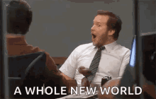 new-reveal-a-whole-new-world