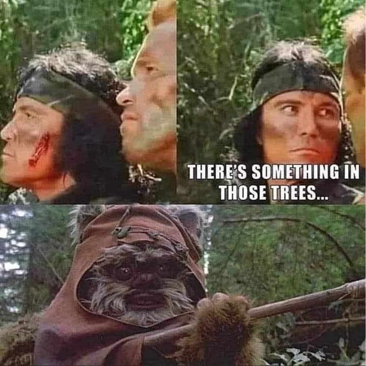 378861758_734979688642629_7187035320159670265_n