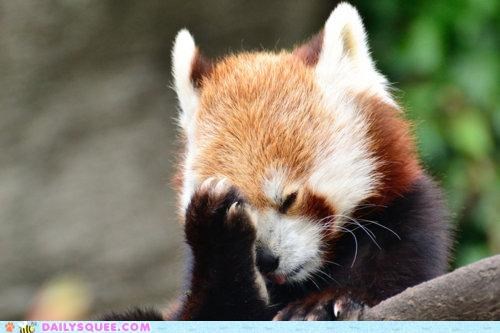 acting-like-animals-face-palm