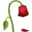 🥀