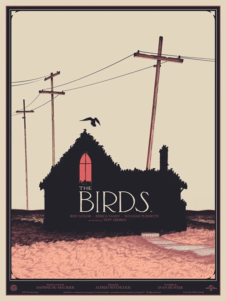 birds-the-14-Sam-Wolfe-Connelly