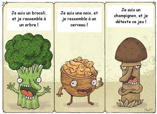 FB_IMG_1729153715654