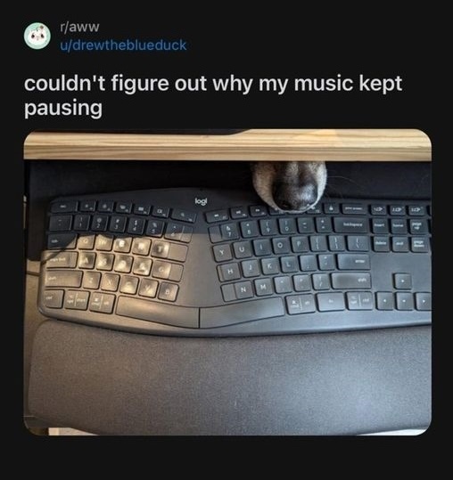 456230432_1037192691122998_4999296022025331969_n