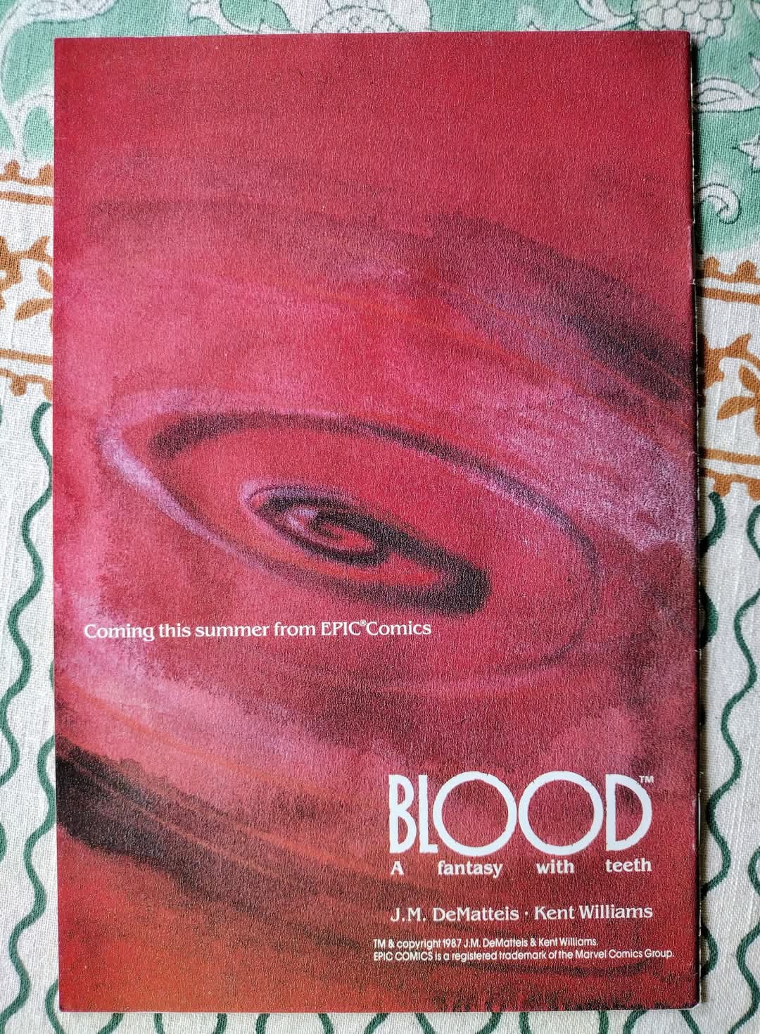 FB_IMG_1745238192664