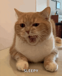 yawn-yawning