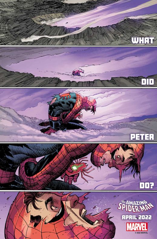 What-Did-Peter-Do