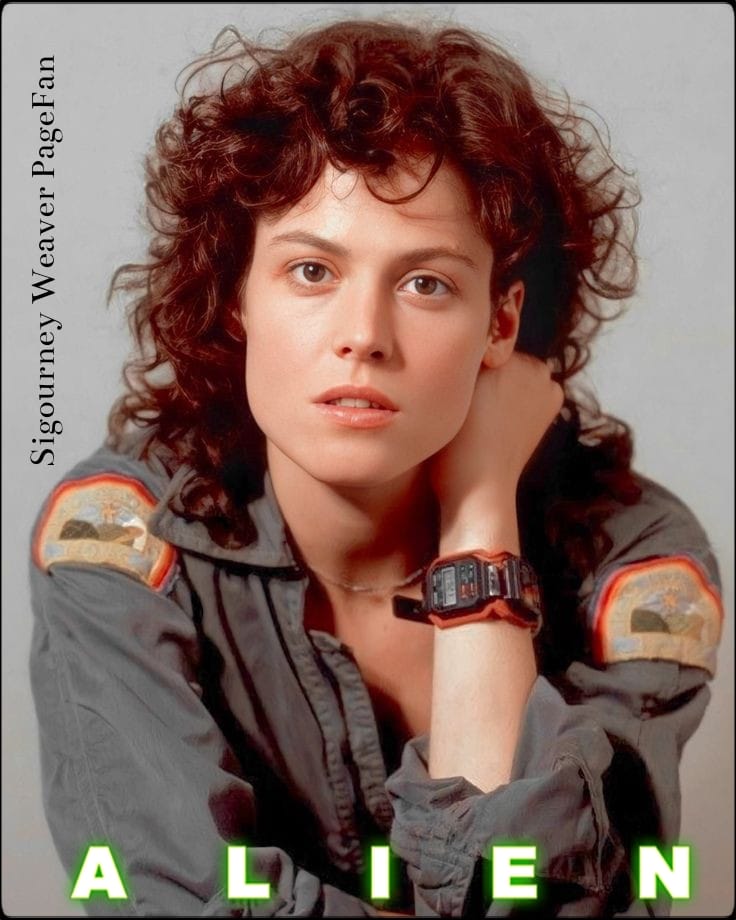 367992782_708528011286744_4557250250609907026_n