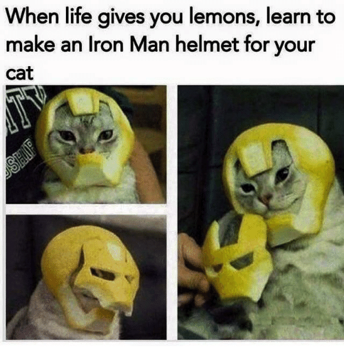 when-life-gives-you-lemons-learn-to-make-an-iron-3038537