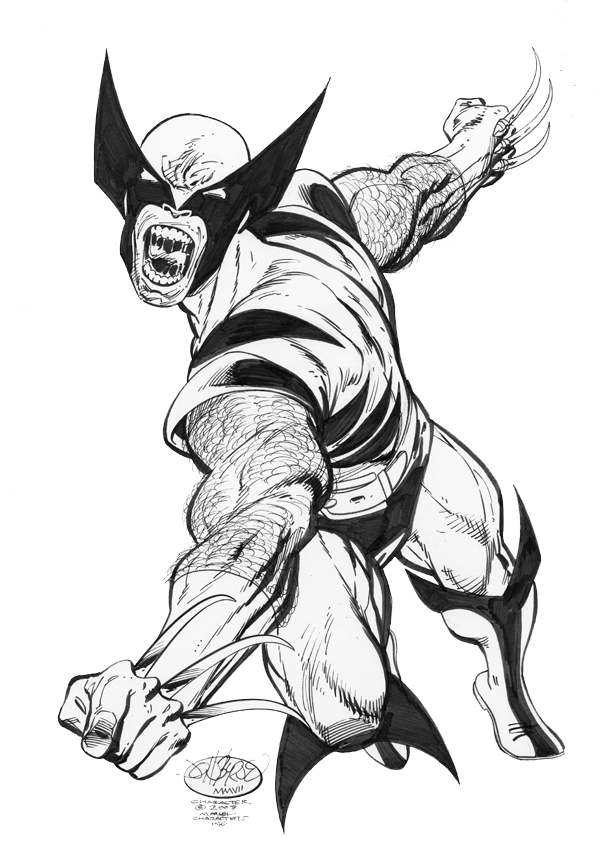 WOLVERINE.JPG