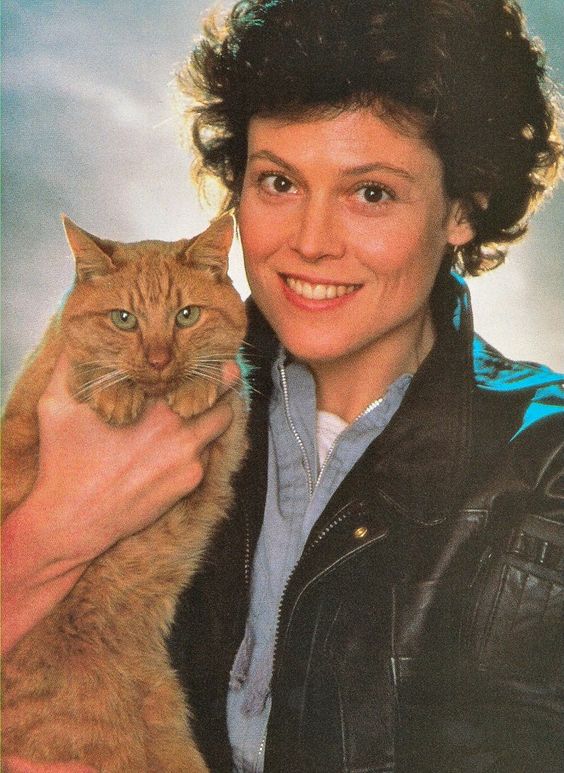 Ripley-cat