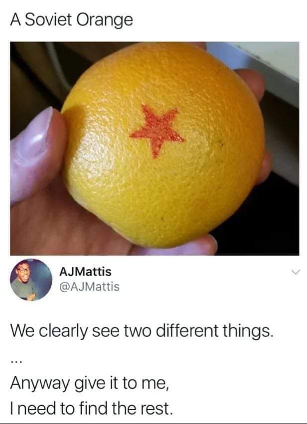 425605427_332899886408584_6068349616174948130_n